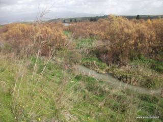 lle del Simeto-24-02-2013 11-43-06